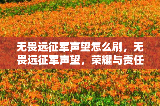无畏远征军声望怎么刷,无畏远征军声望,荣耀与责任的象征 无畏远征军声望怎么刷,无畏远征军声望,荣耀与责任的象征