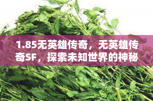 1.85无英雄传奇,无英雄传奇SF,探索未知世界的神秘之旅 1.85无英雄传奇,无英雄传奇SF,探索未知世界的神秘之旅