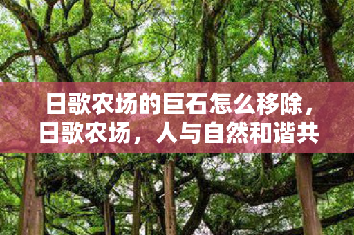 日歌农场的巨石怎么移除,日歌农场,人与自然和谐共生的田园诗篇 日歌农场的巨石怎么移除,日歌农场,人与自然和谐共生的田园诗篇