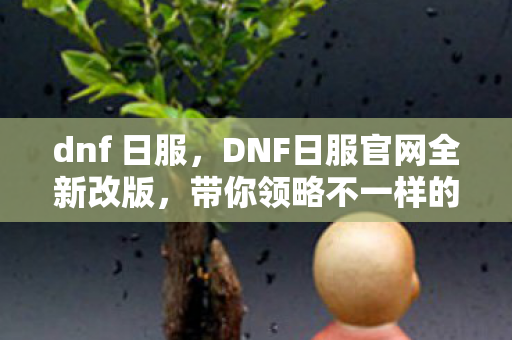 dnf 日服，DNF日服官网全新改版，带你领略不一样的游戏体验！