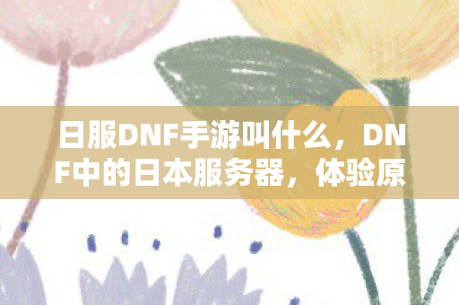日服DNF手游叫什么,DNF中的日本服务器,体验原汁原味的游戏魅力 日服DNF手游叫什么,DNF中的日本服务器,体验原汁原味的游戏魅力