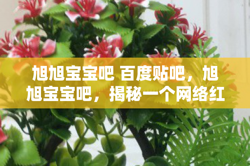 旭旭宝宝吧 百度贴吧,旭旭宝宝吧,揭秘一个网络红人的崛起与魅力 旭旭宝宝吧 百度贴吧,旭旭宝宝吧,揭秘一个网络红人的崛起与魅力