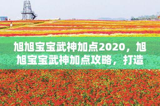 旭旭宝宝武神加点2020，旭旭宝宝武神加点攻略，打造最强战斗力的关键所在