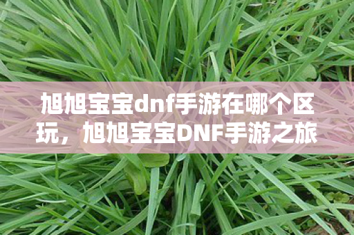 旭旭宝宝dnf手游在哪个区玩,旭旭宝宝DNF手游之旅,揭秘他的游戏区域与背后的故事 旭旭宝宝dnf手游在哪个区玩,旭旭宝宝DNF手游之旅,揭秘他的游戏区域与背后的故事