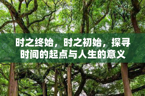 时之终始,时之初始,探寻时间的起点与人生的意义 时之终始,时之初始,探寻时间的起点与人生的意义