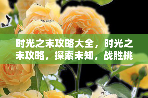 时光之末攻略大全,时光之末攻略,探索未知,战胜挑战 时光之末攻略大全,时光之末攻略,探索未知,战胜挑战