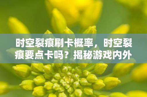 时空裂痕刷卡概率,时空裂痕要点卡吗?揭秘游戏内外的真实情况 时空裂痕刷卡概率,时空裂痕要点卡吗?揭秘游戏内外的真实情况