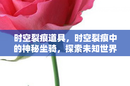 时空裂痕道具,时空裂痕中的神秘坐骑,探索未知世界的速度与荣耀 时空裂痕道具,时空裂痕中的神秘坐骑,探索未知世界的速度与荣耀