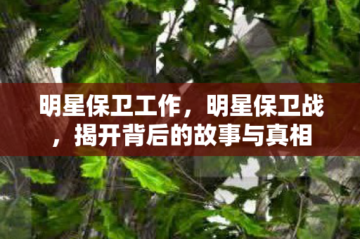明星保卫工作，明星保卫战，揭开背后的故事与真相