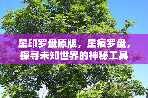 星印罗盘原版,星痕罗盘,探寻未知世界的神秘工具 星印罗盘原版,星痕罗盘,探寻未知世界的神秘工具