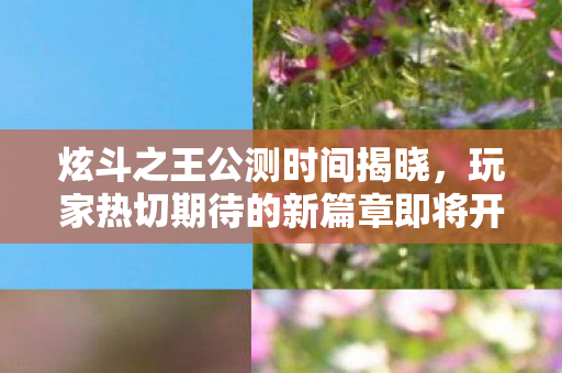 炫斗之王公测时间揭晓，玩家热切期待的新篇章即将开启！