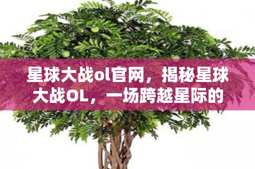 星球大战ol官网,揭秘星球大战OL,一场跨越星际的史诗级战争体验 星球大战ol官网,揭秘星球大战OL,一场跨越星际的史诗级战争体验