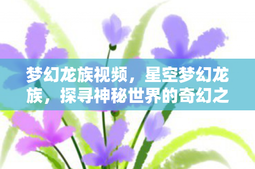 梦幻龙族视频,星空梦幻龙族,探寻神秘世界的奇幻之旅 梦幻龙族视频,星空梦幻龙族,探寻神秘世界的奇幻之旅