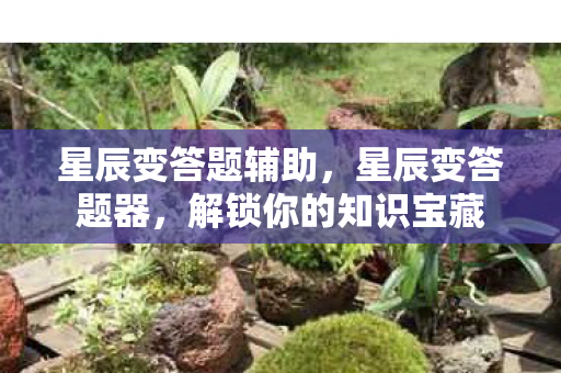 星辰变答题辅助，星辰变答题器，解锁你的知识宝藏