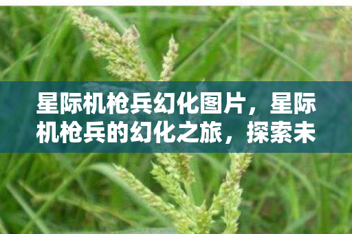 星际机枪兵幻化图片,星际机枪兵的幻化之旅,探索未知宇宙的英勇征程 星际机枪兵幻化图片,星际机枪兵的幻化之旅,探索未知宇宙的英勇征程