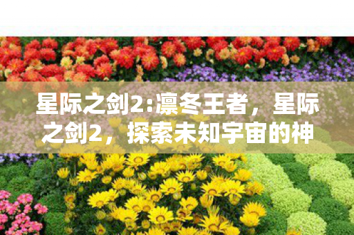 星际之剑2:凛冬王者,星际之剑2,探索未知宇宙的神秘冒险 星际之剑2:凛冬王者,星际之剑2,探索未知宇宙的神秘冒险