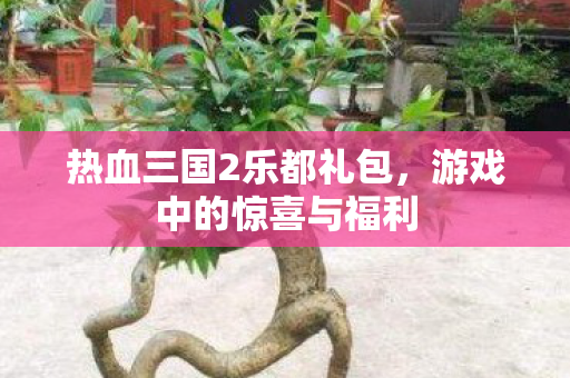 热血三国2乐都礼包,游戏中的惊喜与福利 热血三国2乐都礼包,游戏中的惊喜与福利