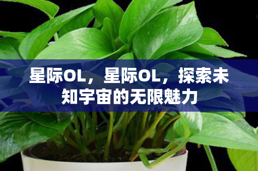 星际OL,星际OL,探索未知宇宙的无限魅力 星际OL,星际OL,探索未知宇宙的无限魅力