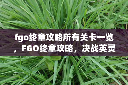 fgo终章攻略所有关卡一览，FGO终章攻略，决战英灵之巅，通关终极挑战！