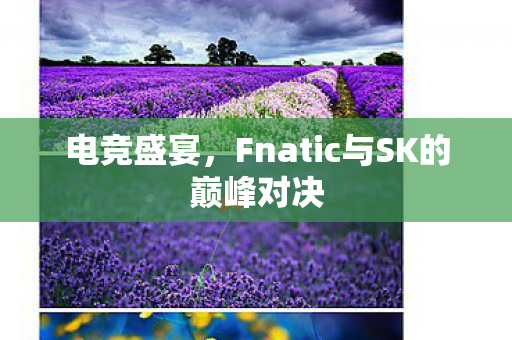 电竞盛宴,Fnatic与SK的巅峰对决 电竞盛宴,Fnatic与SK的巅峰对决