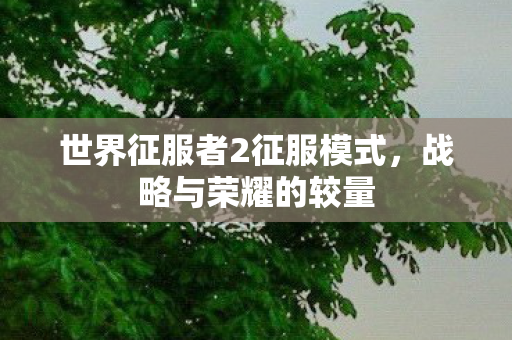 世界征服者2征服模式，战略与荣耀的较量