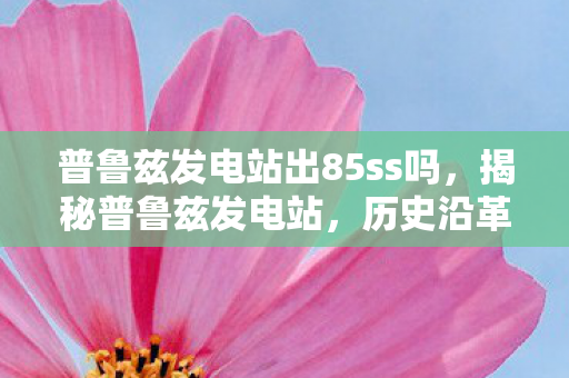 普鲁兹发电站出85ss吗，揭秘普鲁兹发电站，历史沿革、现状及其未来展望