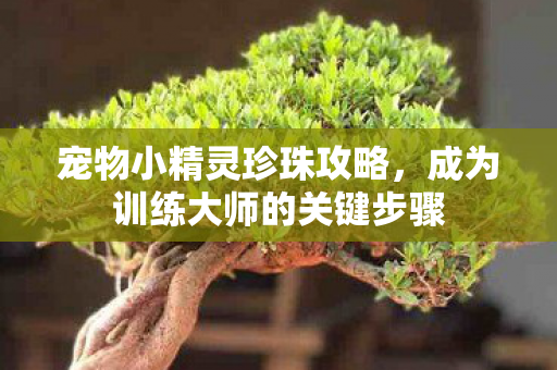 宠物小精灵珍珠攻略，成为训练大师的关键步骤