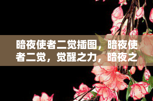 暗夜使者二觉插图，暗夜使者二觉，觉醒之力，暗夜之荣耀