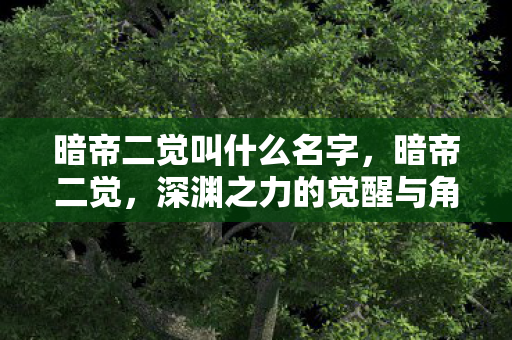 暗帝二觉叫什么名字,暗帝二觉,深渊之力的觉醒与角色蜕变 暗帝二觉叫什么名字,暗帝二觉,深渊之力的觉醒与角色蜕变