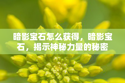 暗影宝石怎么获得，暗影宝石，揭示神秘力量的秘密