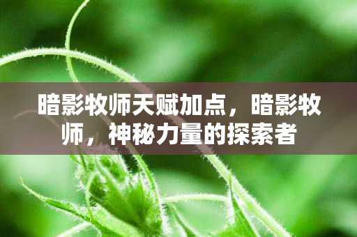 暗影牧师天赋加点，暗影牧师，神秘力量的探索者