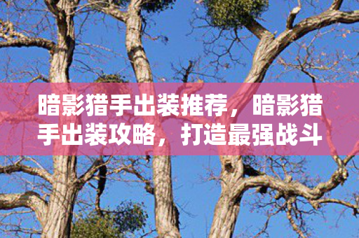 暗影猎手出装推荐,暗影猎手出装攻略,打造最强战斗装备 暗影猎手出装推荐,暗影猎手出装攻略,打造最强战斗装备