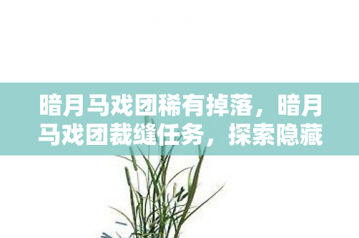暗月马戏团稀有掉落,暗月马戏团裁缝任务,探索隐藏的游戏剧情与角色成长之路 暗月马戏团稀有掉落,暗月马戏团裁缝任务,探索隐藏的游戏剧情与角色成长之路