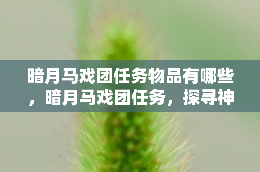 暗月马戏团任务物品有哪些,暗月马戏团任务,探寻神秘世界的奇幻之旅 暗月马戏团任务物品有哪些,暗月马戏团任务,探寻神秘世界的奇幻之旅
