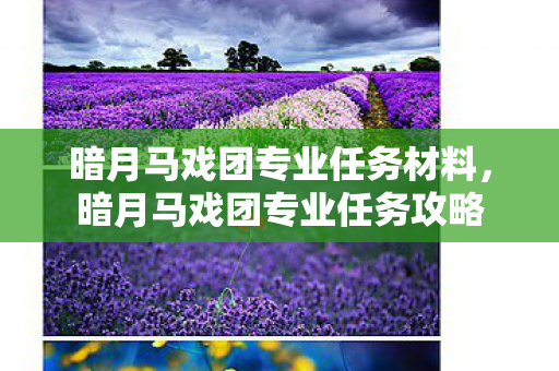 暗月马戏团专业任务材料,暗月马戏团专业任务攻略 暗月马戏团专业任务材料,暗月马戏团专业任务攻略
