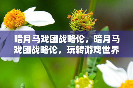 暗月马戏团战略论,暗月马戏团战略论,玩转游戏世界的攻略秘籍 暗月马戏团战略论,暗月马戏团战略论,玩转游戏世界的攻略秘籍