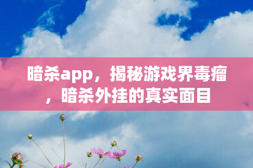 暗杀app,揭秘游戏界毒瘤,暗杀外挂的真实面目 暗杀app,揭秘游戏界毒瘤,暗杀外挂的真实面目