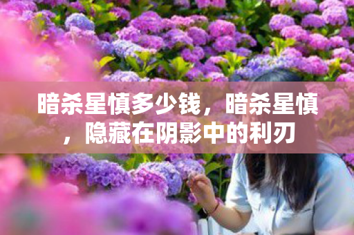 暗杀星慎多少钱,暗杀星慎,隐藏在阴影中的利刃 暗杀星慎多少钱,暗杀星慎,隐藏在阴影中的利刃