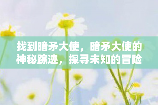 找到暗矛大使,暗矛大使的神秘踪迹,探寻未知的冒险之旅 找到暗矛大使,暗矛大使的神秘踪迹,探寻未知的冒险之旅
