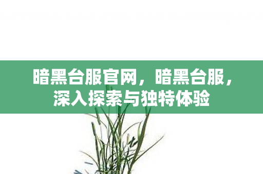 暗黑台服官网,暗黑台服,深入探索与独特体验 暗黑台服官网,暗黑台服,深入探索与独特体验