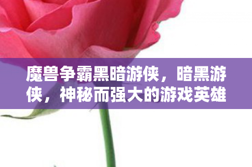 魔兽争霸黑暗游侠，暗黑游侠，神秘而强大的游戏英雄形象探索