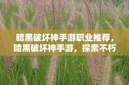 暗黑破坏神手游职业推荐，暗黑破坏神手游，探索不朽的暗黑世界