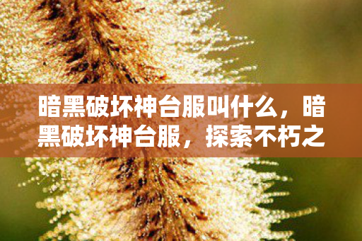 暗黑破坏神台服叫什么,暗黑破坏神台服,探索不朽之地的独特魅力 暗黑破坏神台服叫什么,暗黑破坏神台服,探索不朽之地的独特魅力