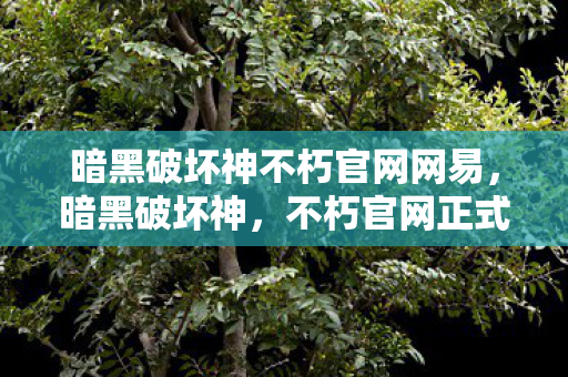 暗黑破坏神不朽官网网易，暗黑破坏神，不朽官网正式上线，经典再现，全新篇章等你开启！