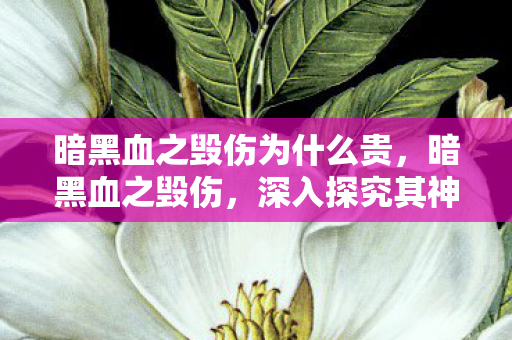 暗黑血之毁伤为什么贵,暗黑血之毁伤,深入探究其神秘面纱背后的真相 暗黑血之毁伤为什么贵,暗黑血之毁伤,深入探究其神秘面纱背后的真相