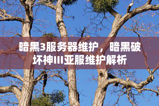 暗黑3服务器维护,暗黑破坏神III亚服维护解析 暗黑3服务器维护,暗黑破坏神III亚服维护解析