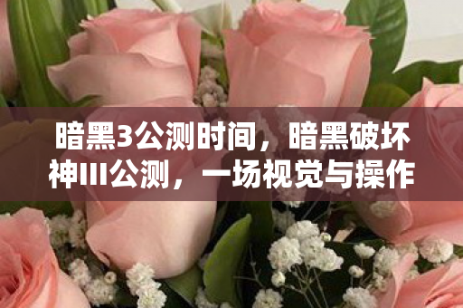 暗黑3公测时间,暗黑破坏神III公测,一场视觉与操作的盛宴 暗黑3公测时间,暗黑破坏神III公测,一场视觉与操作的盛宴