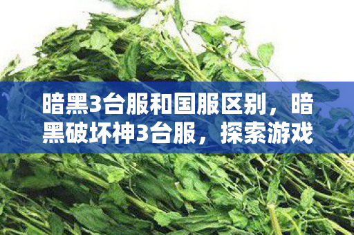 暗黑3台服和国服区别,暗黑破坏神3台服,探索游戏世界的独特魅力 暗黑3台服和国服区别,暗黑破坏神3台服,探索游戏世界的独特魅力