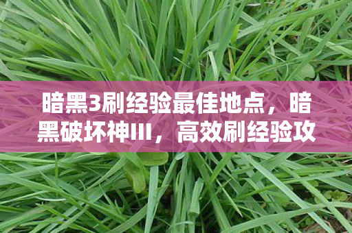 暗黑3刷经验最佳地点,暗黑破坏神III,高效刷经验攻略大揭秘 暗黑3刷经验最佳地点,暗黑破坏神III,高效刷经验攻略大揭秘