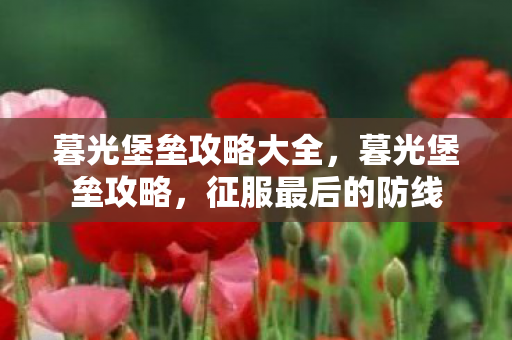 暮光堡垒攻略大全，暮光堡垒攻略，征服最后的防线